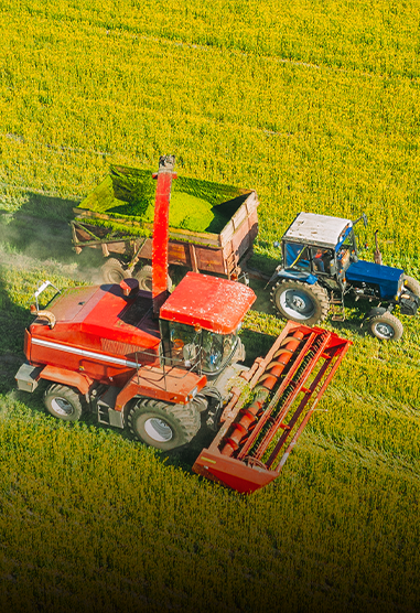 Equipamento Agrícola